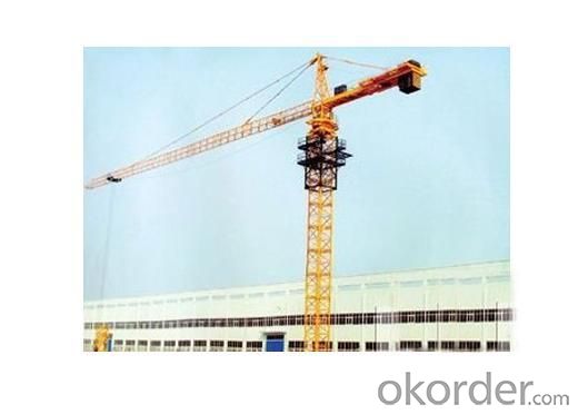 Tower Crane QTZ 100 System 1