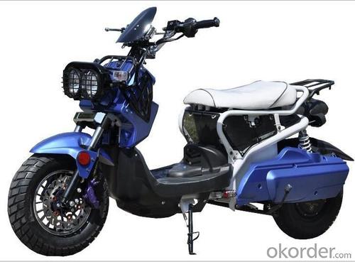 Electric Motorcycle 750W System 1