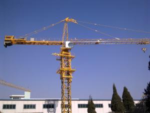 Tower Crane TC6024