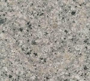 Granite Tile Kashmir White CMAXG2010