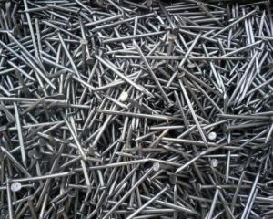 Stainless Steel Common Nails