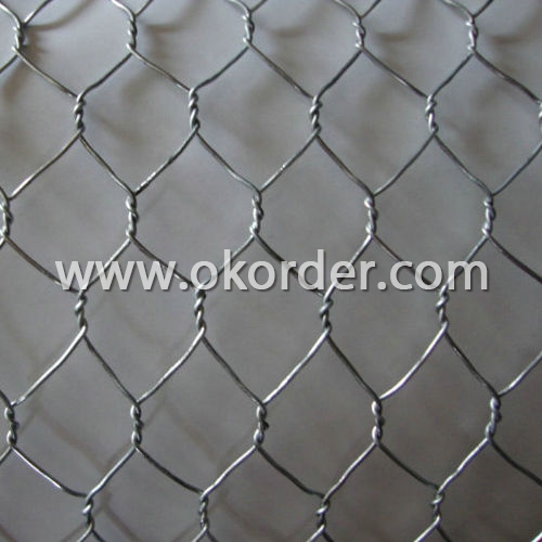 galvanized Hexagonal wire netting