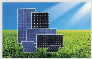 Poly Solar Panels CNBM 200W