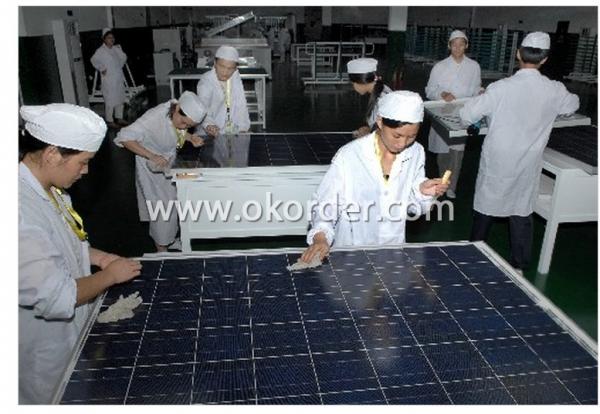 Poly solar panels CNBM 200W