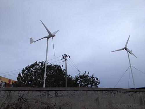 Wind Turbine Active Yawing Of CNBM-1000w System 1