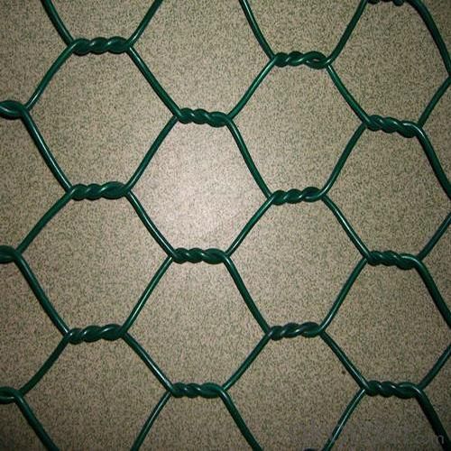 Hexagonal Wire Netting with Inner Galvanized Outside PVC Coated Finish
