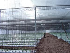 Sunshade Net Black Color 80g for Agriculture and Garden