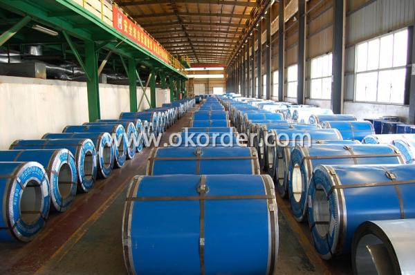 Prepainted Aluzinc Steel Coil With Best Quality