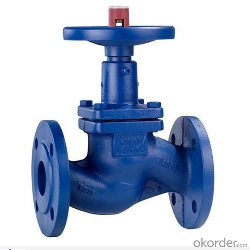 High Quality Globe Valve System 1