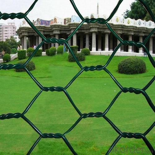 PVC Hexagonal Wire Netting Used for Farm System 1