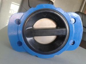 Wafer Type Check Valve DN40-DN600 High Quality