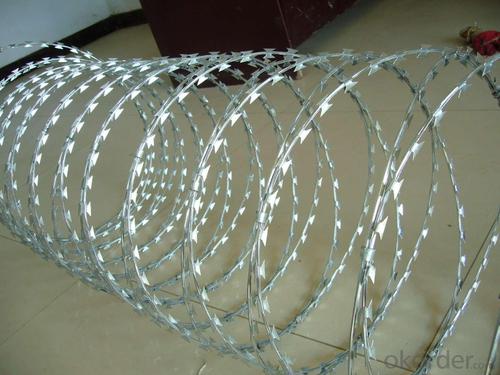 Razor Wire System 1