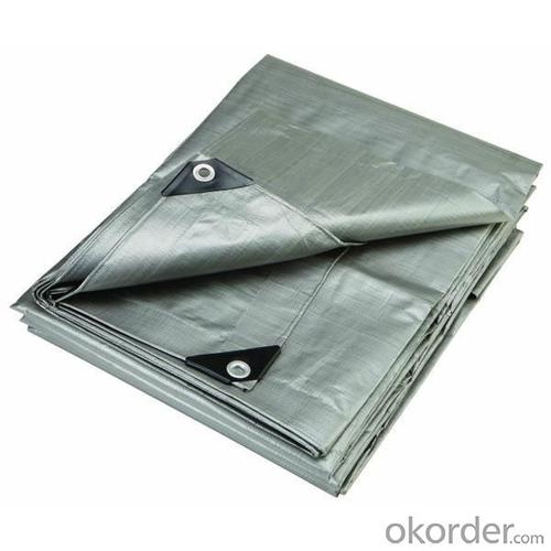 Tarpaulin Silver System 1