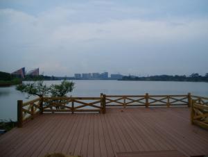 Wood Plastic Composite Decking CMAX S140S29 System 1