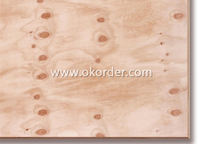  Package Grade Plywood 