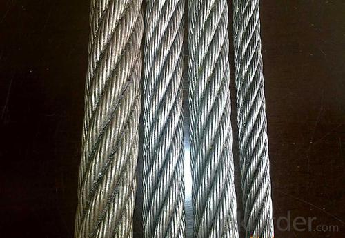 Galvanized Steel Wrie Rope System 1