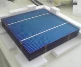 High Quality Poly Solar Cell 156mm with TUV,CE Certification