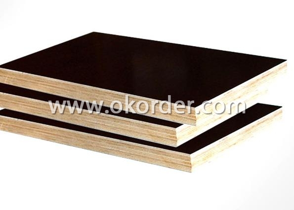  Poplar Core Black Film Faced Plywood 