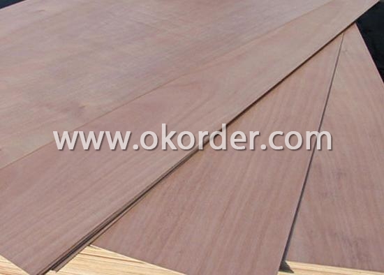  Eucalyptus Core Plywood 