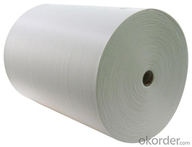Recycle Eco Polyester Spunbond Nonwoven Fabric