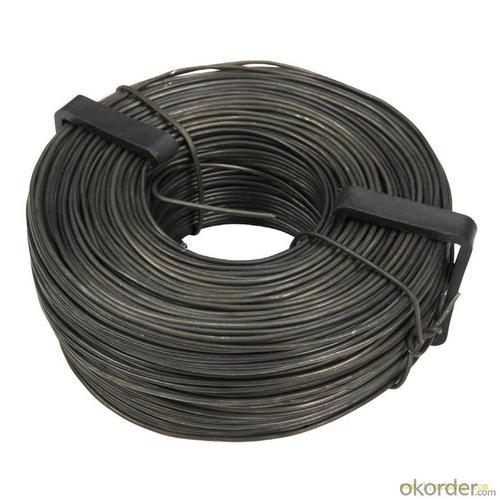 Black Annealed Wire System 1