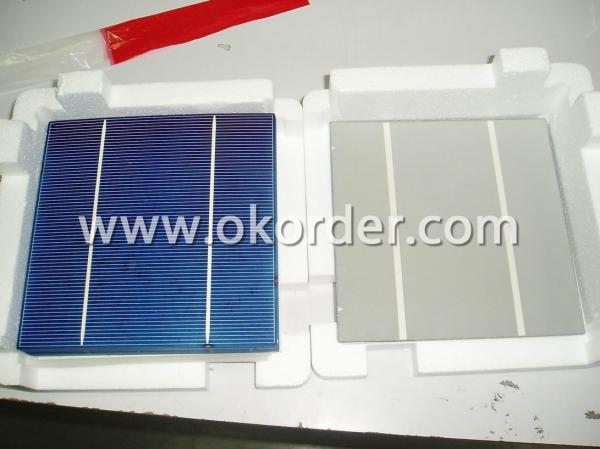  Poly Solar Cell 156mm 