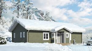 Prefabricated House Affordable House