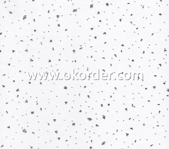  Mineral Fiber Ceiling (MA01) 