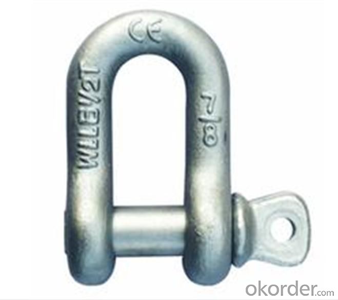 Stainless Steel Shackle Standard Size M10 Screw Pin Anchor Shackle
