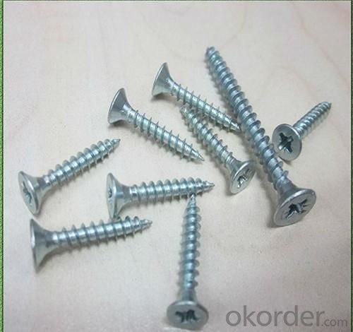 Wood Screws with Drilling Tip System 1