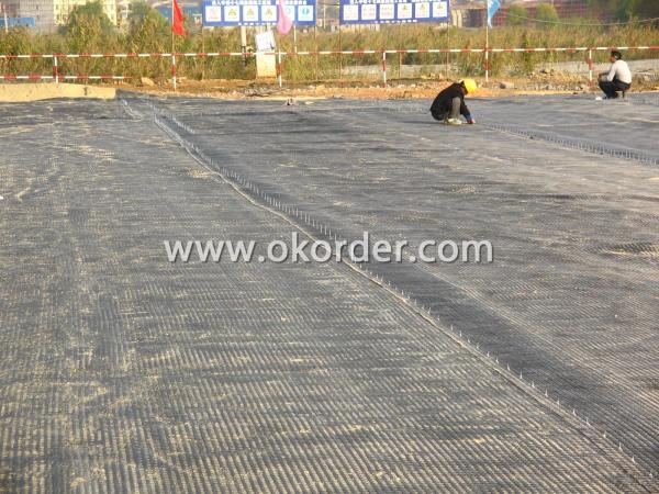 Application of Polyester Geogrid