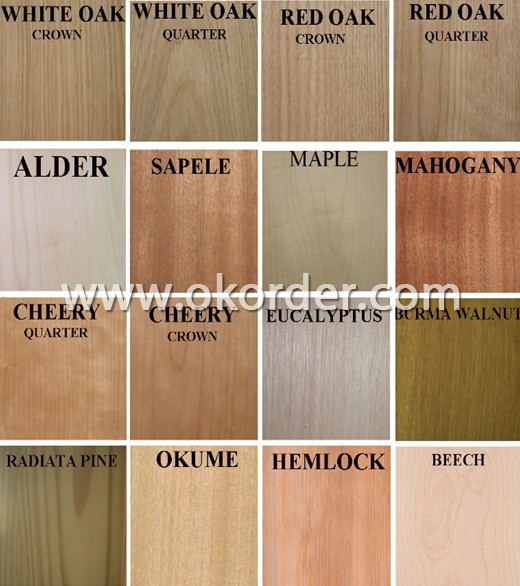  Solid Wood MouldingSpecies 