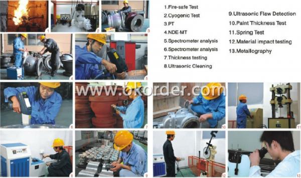  Main Test Of High Quality Forged Steel Full Bore High Pressure Ball Valve: 