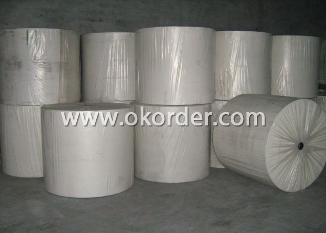  PLA Spunbond Nonowven Fabric 
