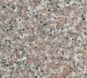 Granite Tile Clove Pink CMAXG4634