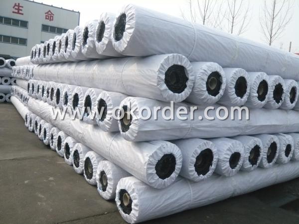  Package of HDPE Uniaxial Geogrid 