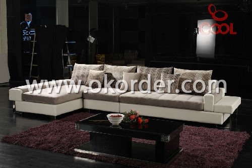 Living Room Sofa - ZS -S06