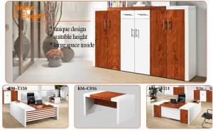 Veneer and Lacquer Office Cabinet