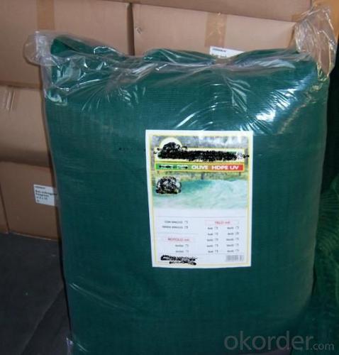 Olive net PE green 35g for harvest System 1