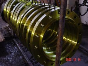 Carbon Steel Flange
