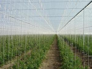 Anti-insect Net for Plant /Green House /Shade Cover real-time