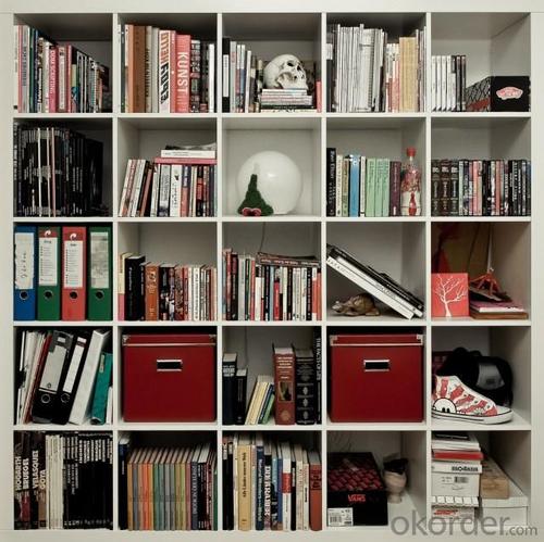 Modern Bookcase System 1