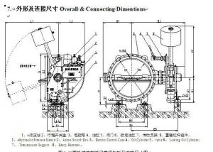 Double or Triple Eccentric Butterfly Valve System 1