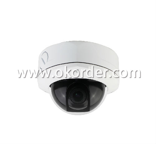 1/3 Sony CCD Vandalproof IR Dome Camera