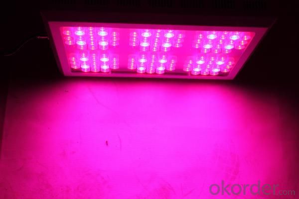 High Quality LED Grow Light System 1