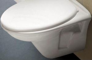 Ceramic Wall Hung Toilet CNBS-003