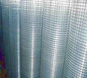 Welded Wire Mesh  wth Galvanized Finish from Manufacturer Directly
