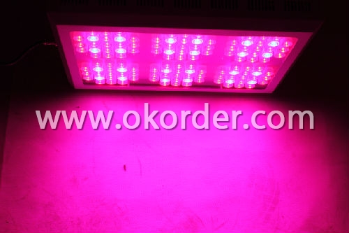 Led Grow Light