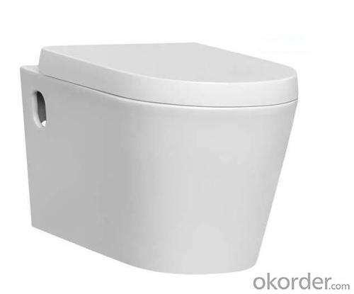 Ceramic Wall Hung Toilet CNBS-005 System 1