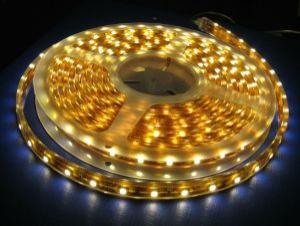 LED Strips/ SMD Strip Light